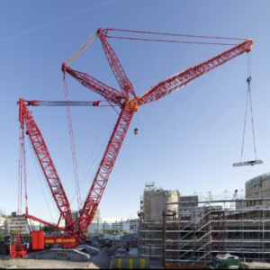 마스크 그룹 329